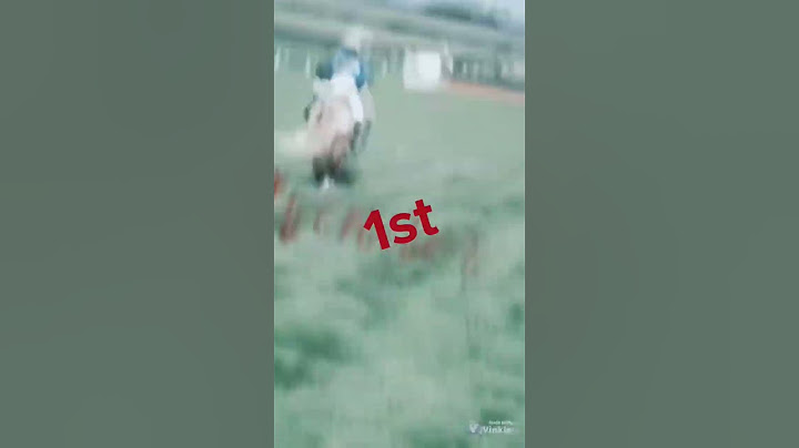 harlow and cloudy #shetland grand national# ended up in hospital # 1st place!