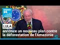 Brsil  lula annonce un nouveau plan contre la dforestation de lamazonie  france 24