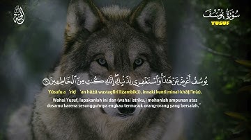 سورة يوسف ( كاملة ) تلاوة تريح القلب والعقل للقارئ علاء عقل 🧡 | Surah Yusuf by Alaa Aql