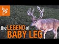 The LEGEND of BABY LEG | One of the Best EVER at the E3!