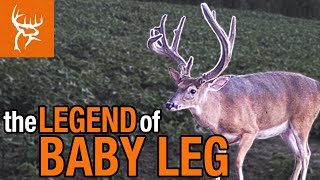 The LEGEND of BABY LEG | One of the Best EVER at the E3!