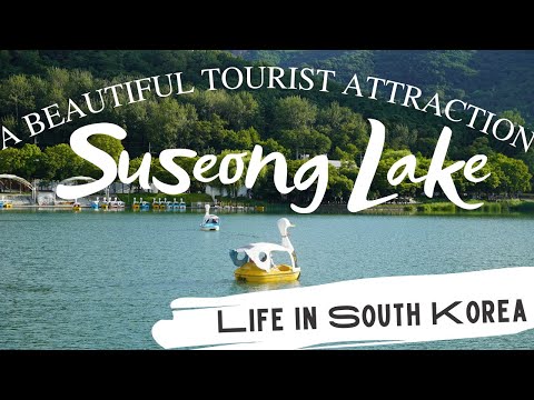 Suseong Lake | Daegu Begin Again | Beautiful Tourist Attraction | Life in South Korea | Susung Mot