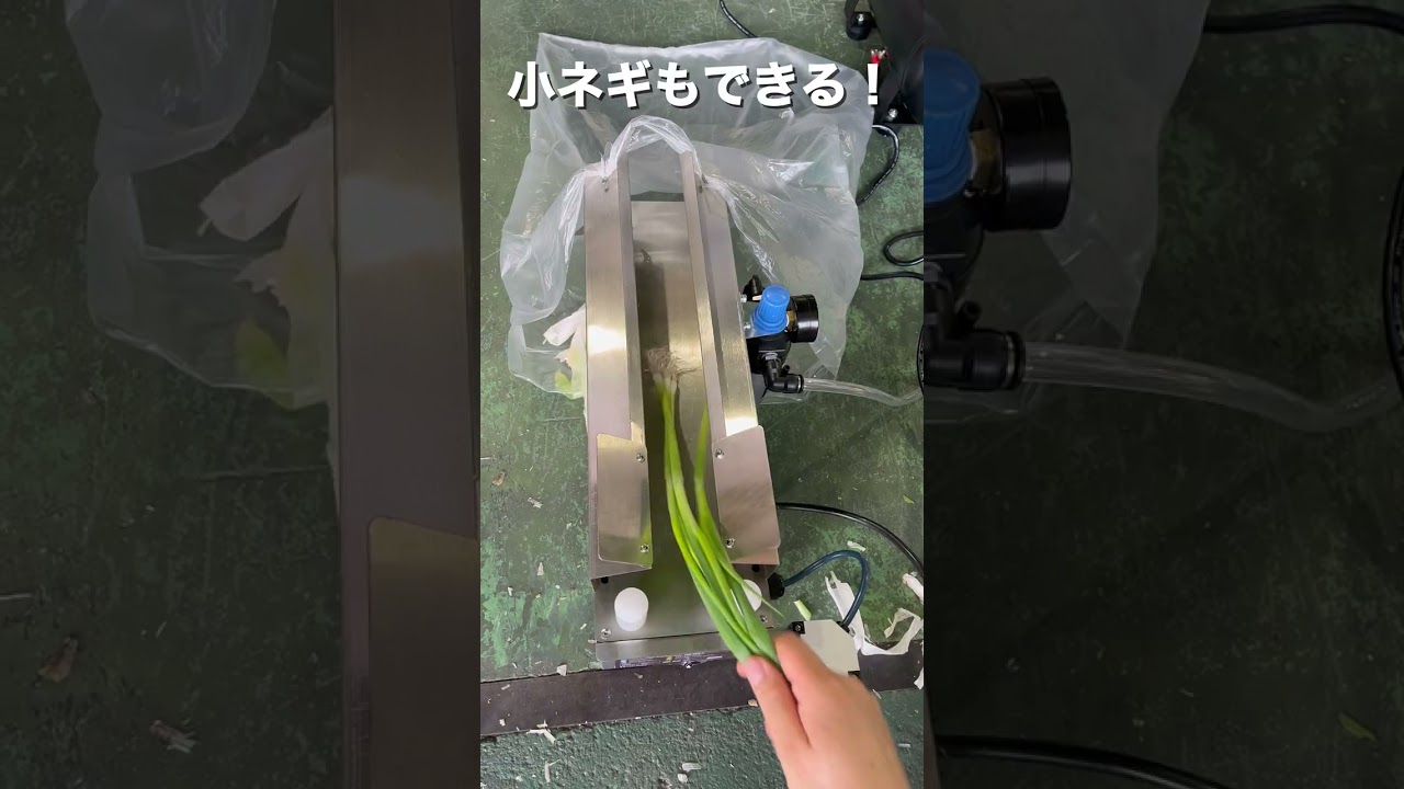 🌪️ネギ皮むきの新常識!🌪️