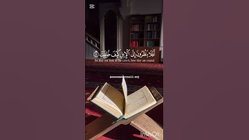 #سورة الغاشية #الاصبهاني #quran #قرآن #اكسبلور #tiktok #capcut #explore #status #story #islamicstatu