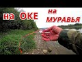 Рыбалка на ОКЕ на "МУРАВЬЯ". ПОРОЛОН, БИСЕР, ОПАРЫШ.