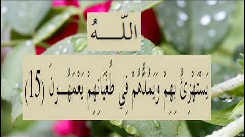 القران الكريم سورة البقرة الاية 15