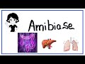 Amibiase