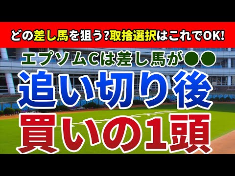 エプソムカップ2022 追い切り後【買いの1頭】公開！馬場とペースを読むと好走馬は楽に絞れる！エプソムCを能力全開で好走するのはアノ馬