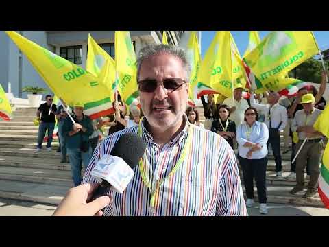 Sit-in di Coldiretti a Reggio Calabria, Cosentini: "da fertilizzanti a olivicoltura, cosa chiediamo"