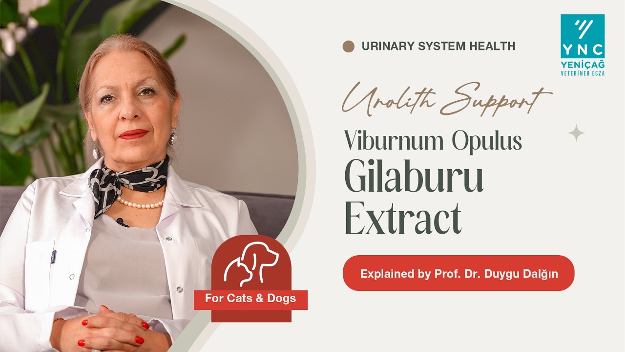 Urinary Cure & Vesica Cure for Cats and Dogs | Urinary Health Explained – Prof. Dr. Duygu Dalğın