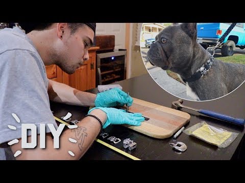making-a-custom-dog-collar-||-diy