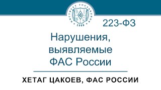 Основные нарушения, выявляемые ФАС России при контроле по Закону № 223-ФЗ, 09.11.2023