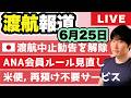【直行 vs 乗継】日本政府、中東レベル引き下げへ