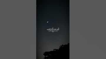 إن ينصركم الله فلا غالب لكم - سورة آل عمران