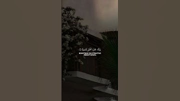 ارح سمعك#راحة_نفسية#تلاوة_خاشعة #تلاوات #اسلام #مسلم#نصائح_دينية_و_دنيوية #اكسبلور #دويتو#قرآن#Quran