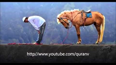 سورة يس - ماهر المعيقلي ( تلاوة تشرح الصدر