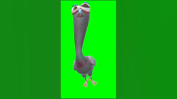 احمد محسن بيو بيو بيو بيو أحمد محسن 
