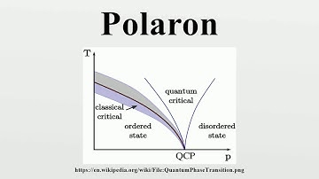 Polaron