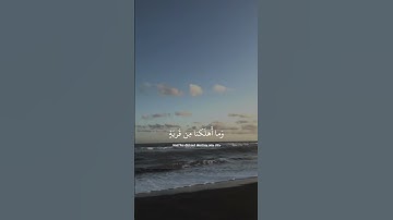 ربما يود الذين كفروا لو كانوا مسلمين | القارئ هزاع البلوشي