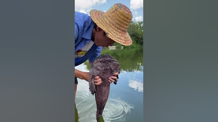 What fish is this? |Chinese Mountain Forest Life and Food #Moo TikTok#FYP