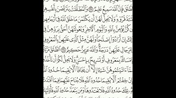 سورة البقرة 225-230 (٣٦)       Sheikh Anas AlHibri