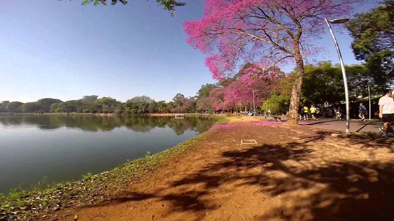 Chegar Lá Parque Ibirapuera SP YouTube Chegar Lá Parque Ibirapuera SP YouTube