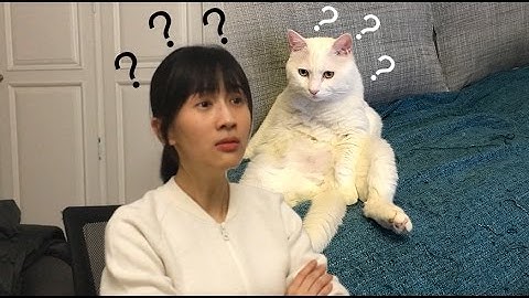 papi酱 - 与老胡的二三事【papi酱不定期更新的日常】