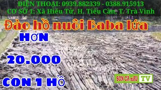 ĐÀO AO THẢ NUÔI BABA LỨA NĂM 2023 TẠI NÔNG TRẠI SỐ 4|| SƠN CÀ mAU