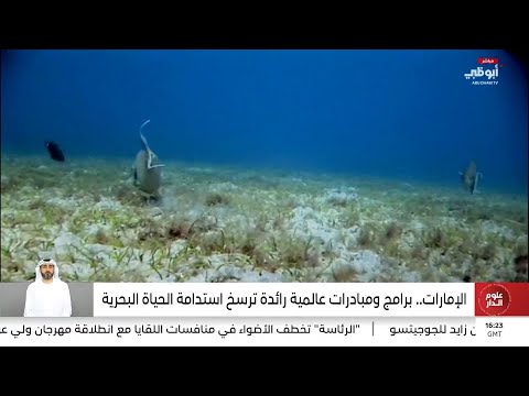 البيئة البحرية في الإمارات تنوع بيولوجي فريد 