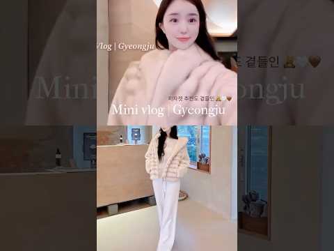 2026 경주 여행 mini vlog 🧸🤎🤍 #겨울출근룩 #겨울코디 #경주 #경주여행 #경주맛집 #경주카페 #퍼자켓