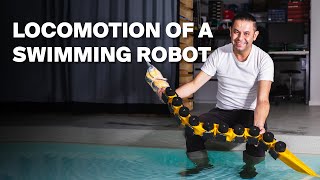 Swimming robot gives fresh insight into locomotion and neuroscience