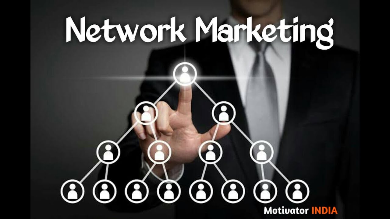 netsurf network business plan