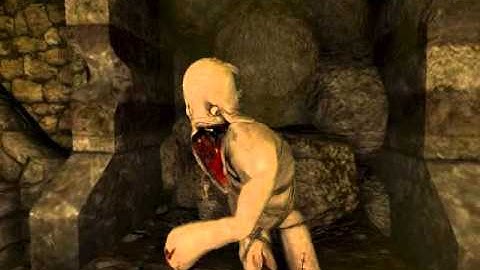 What the fuck is that? (Amnesia : The Dark Descent)