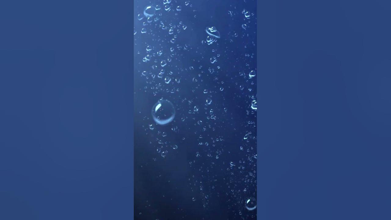 🌊Живот на дъното на Марианската падина #море #океан - YouTube