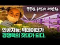 똑똑한 농업의 대반란/21세기 농업의 진화/미래농업, 스마트 팜이 온다/센서와 영상으로 농장을 감시하고 온실장치를 스마트기기로 제어/배양액 자동공급/부산mbc  20191029방송