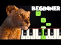 Circle Of Life - The Lion King | BEGINNER PIANO TUTORIAL + SHEET MUSIC by Betacustic