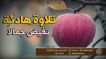 تلاوة هادئه تفيض جمالاً أرح بها بالك ومسمعك :: من سورة لقمان