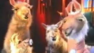 La llama que llama - Compilado de Youtube