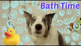 Giving My Dog A Bubble Bath | VLOGMAS DAY 2 by Maddie Smith 7,354 views 5 years ago 10 minutes, 2 seconds