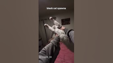 Posting random videos until I get 100k subs Day 13🐈