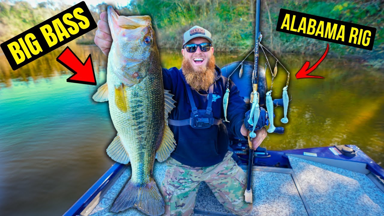 Fishing for PB BASS in the River (Alabama Rig GIANTS)