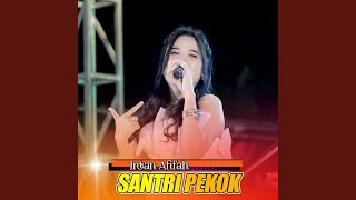 Santri Pekok