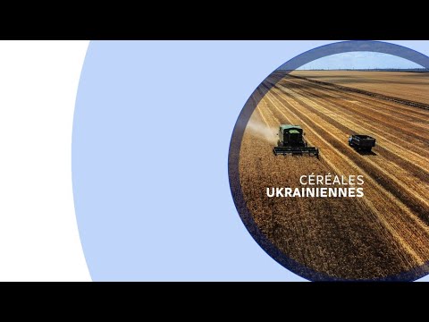 Guerre en Ukraine : une crise alimentaire est évitée