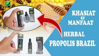 Walatra Golden Propolis Brazil Asli Original - Brazilian Propolis Non Alkohol With Nano Technology