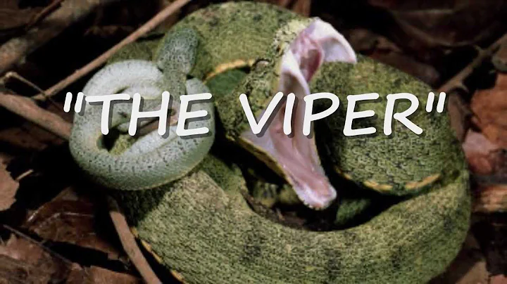 Paul Lenart & Bill Novick's "The Viper"