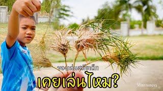 ของเล่นสมัยเด็ก ใครเคยเล่นบ้าง #ตีไก่ #วิถีเซราะกราว