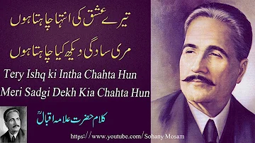 Tere Ishq Ki Inteha Chahta Hoon | Allama Iqbal Poetry | Kalam e Iqbal | Iqbal Poetry | Iqbal Poems