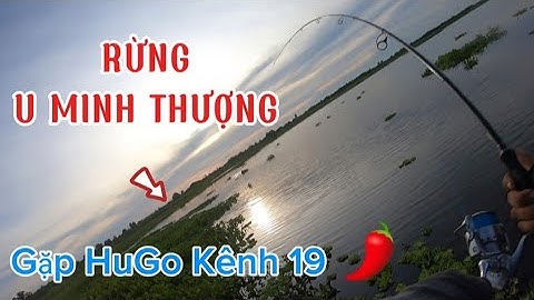 Câu cá lóc rừng U Minh Thượng Kiên Giang || Nhiều Tìm Ẩn Bên Dưới