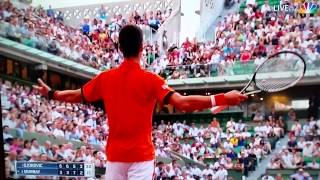 Bird Flies Over Djokovic And Murray