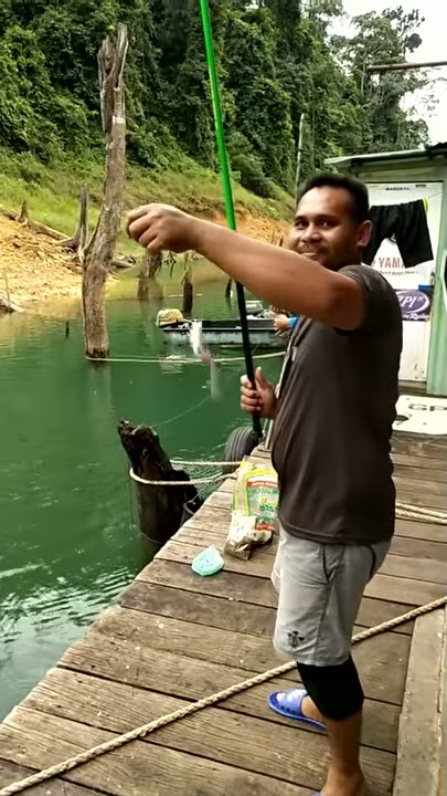 Ikan Lampam Tasik Kenyir